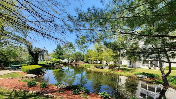 A serene garden with a pond, neatly trimmed hedges, and a picnic table.