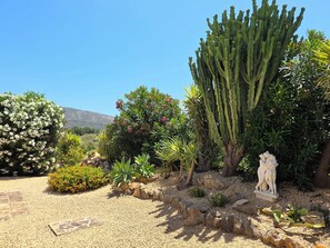 Un jardín con diversas plantas, un cactus y una estatua de piedra.