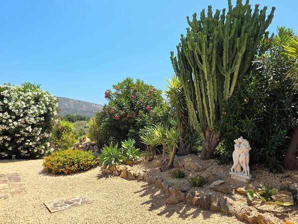 A garden with various plants, a cactus, and a stone statue. - Casa Tranquilo. Charming Character House, Large Private Pool, Gardens, Moraira (Moraira)