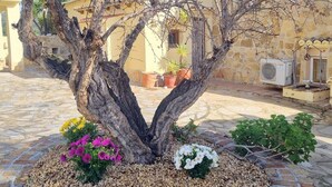 Un árbol con una estructura de tronco singular, rodeado de un lecho de guijarros y flores coloridas, frente a un edificio de piedra con techo de tejas.