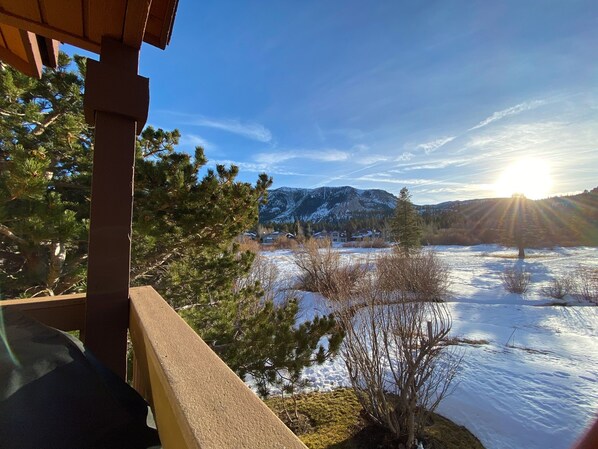 Terrain de l’hébergement 