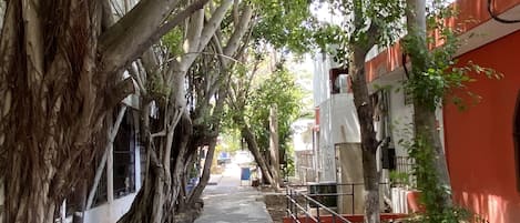 Enceinte de l’hébergement