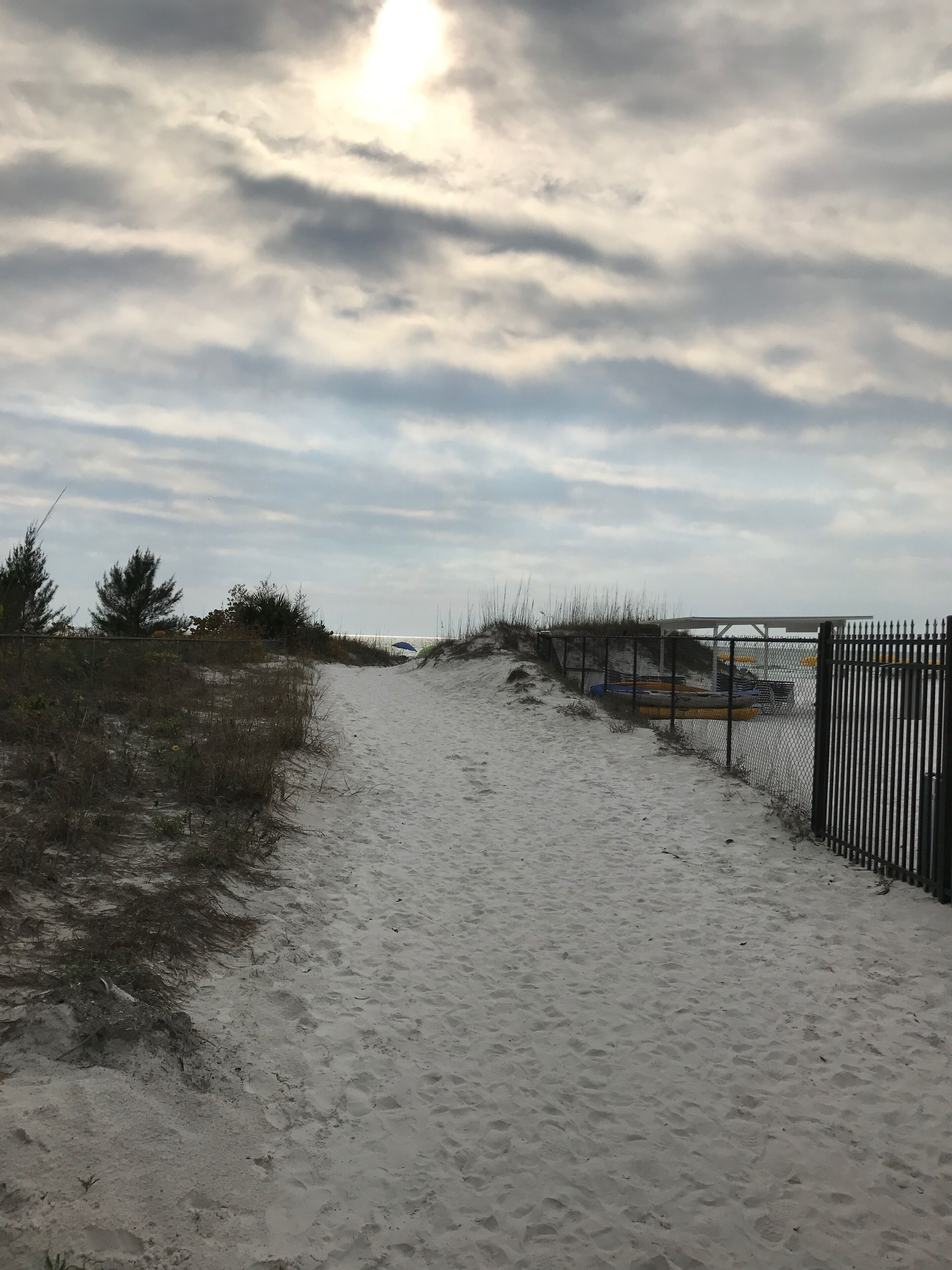 Een zandpad dat naar een strand leidt, met een hek aan één kant en beplanting aan de andere kant.