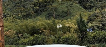 Acanto - Intrepido Glamping