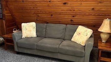 TV, video games, DVD player, books