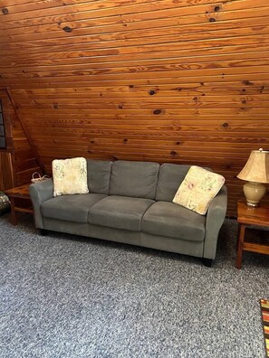 Televisión, videojuegos, reproductor de DVD y libros 