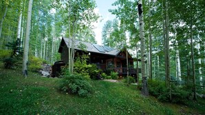 Une cabane entourée de grands arbres, dotée d’un mur en pierre et d’une terrasse en bois.