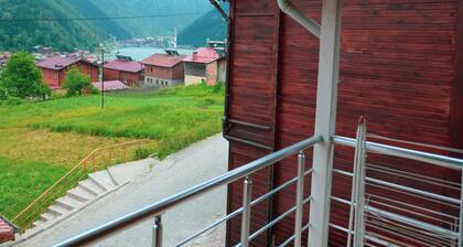Kibar Home