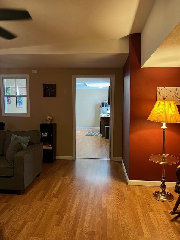 Smart TV, fireplace, DVD player, books