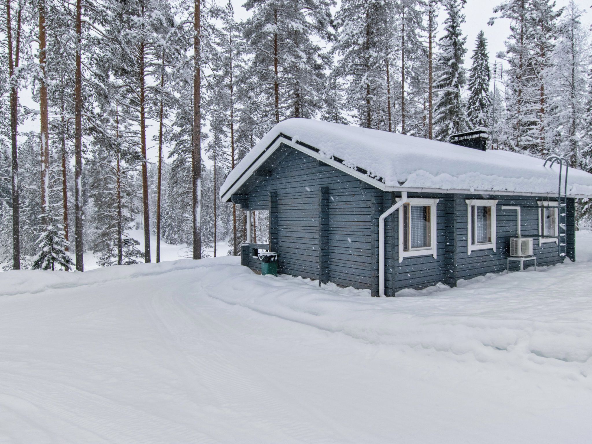 Eksteriør