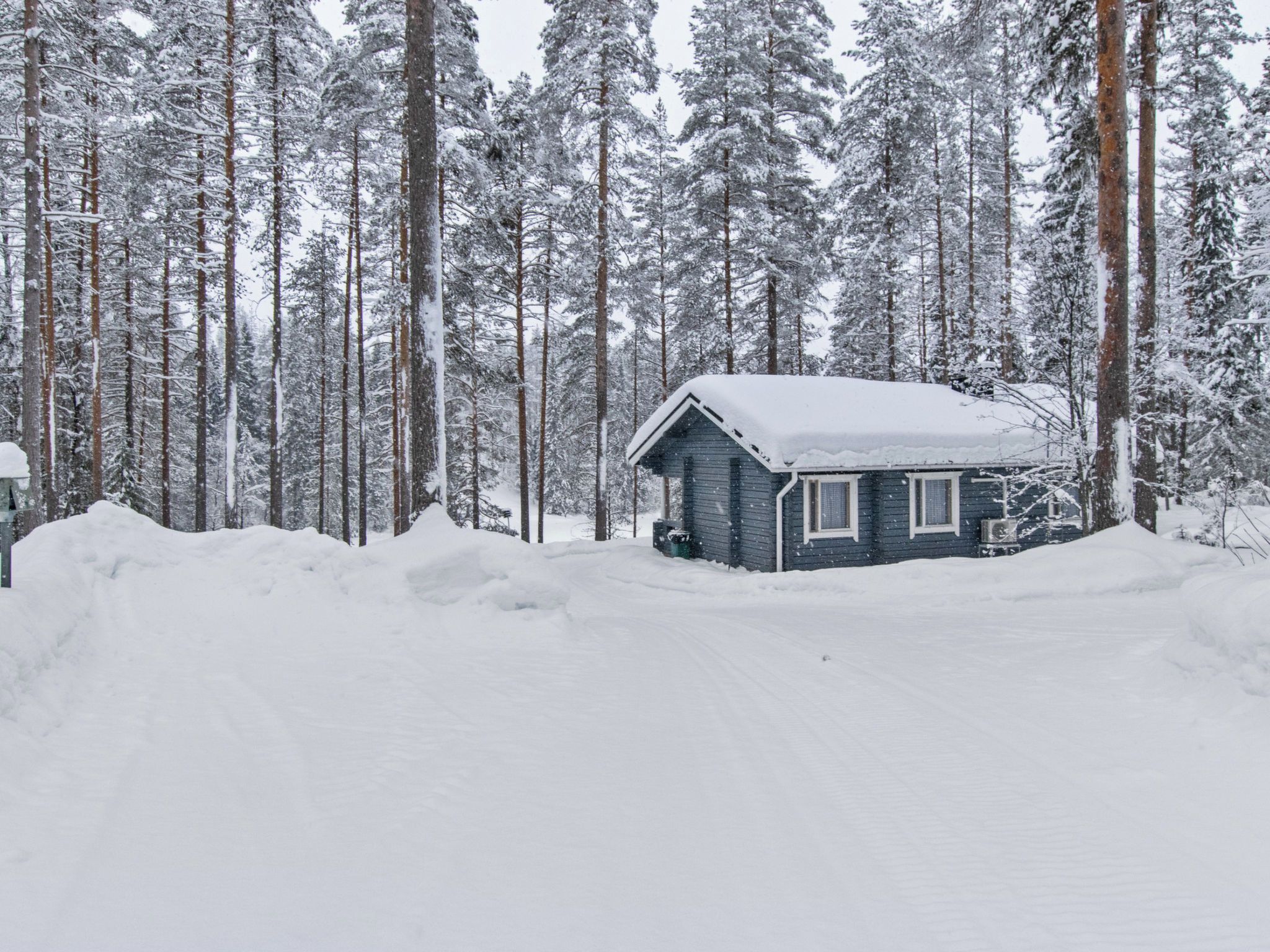 Une cabane entourée d’arbres couverts de neige.