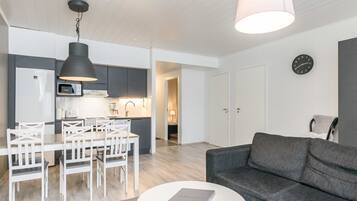 Televisio, DVD-soitin