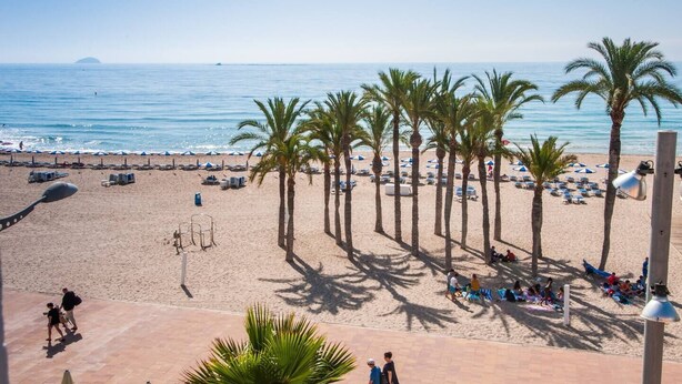 Una playa con palmeras, sombrillas y sillas de playa.