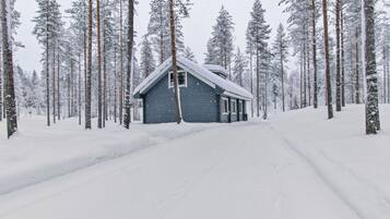 Ulkopuoli