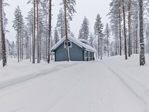 Une cabane située dans une forêt enneigée, avec un chemin dégagé menant à celle-ci.
