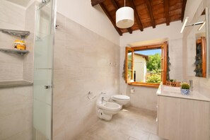 Shower, hair dryer, bidet, towels