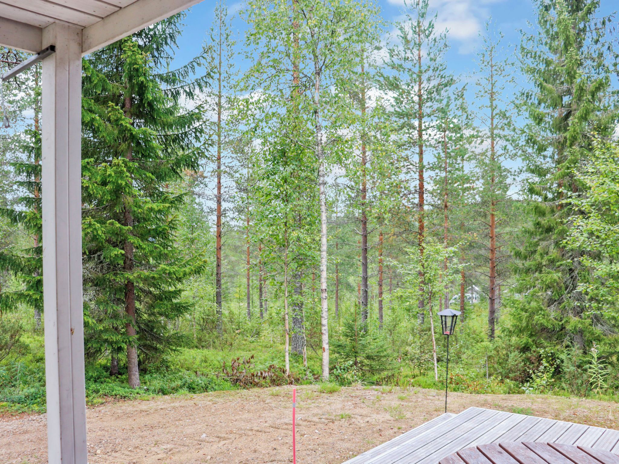 A covered outdoor area with a wooden deck, surrounded by a forest of tall trees.