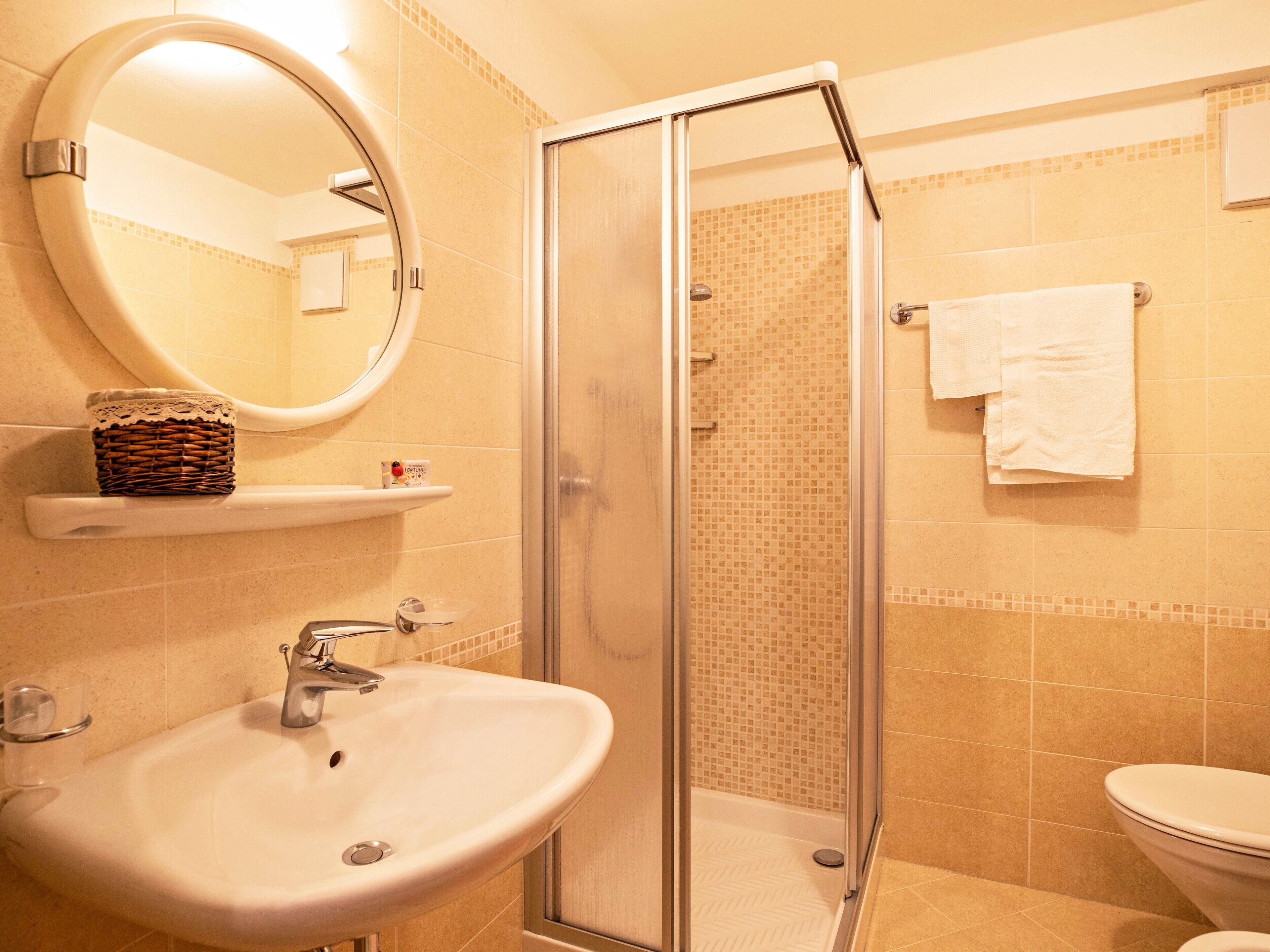 Shower, hair dryer, towels