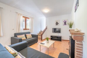 TV, fireplace, video games, table tennis