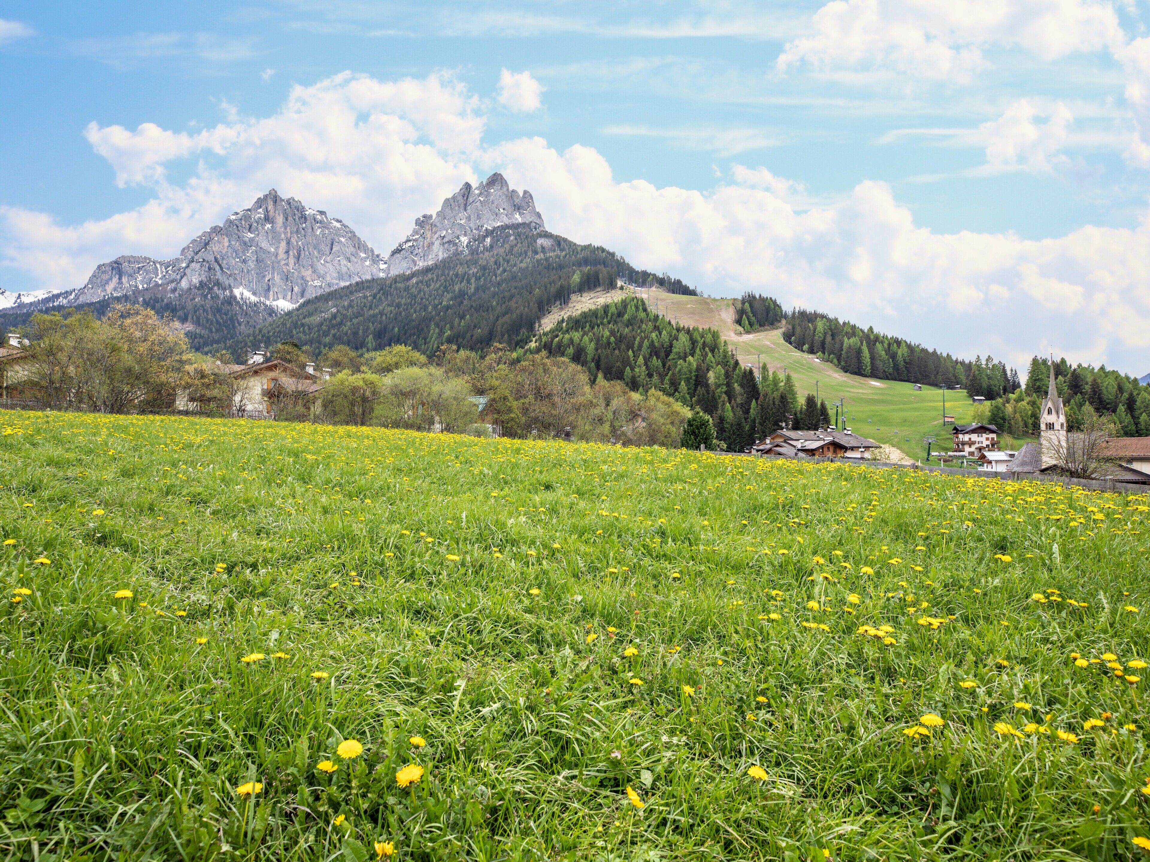 Eine Berglandschaft mit einem Feld gelber Blumen im Vordergrund, einer Kirche mit einem hohen Turm und Häusern im Tal.