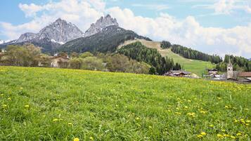 Eine Berglandschaft mit einem Feld gelber Blumen im Vordergrund, einer Kirche mit einem hohen Turm und Häusern im Tal.