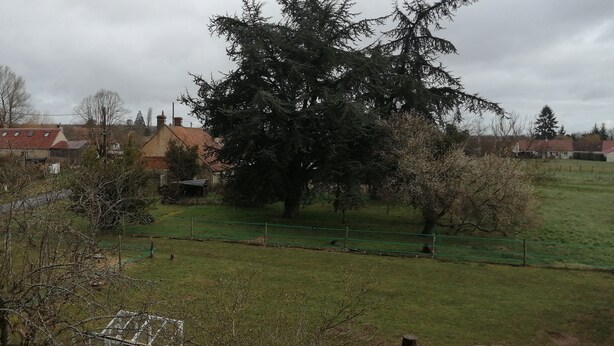 Un paysage rural avec un grand arbre, un champ clôturé et une structure en bois.