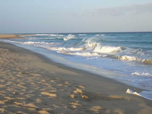 Ferienwohnungen Wiesenblick - Ferienwohnung DG1