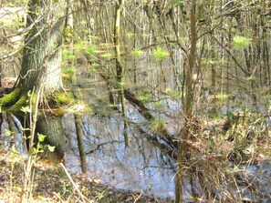 Unclassified image, 4 of 27, button - Vacation apartments Wiesenblick - Holiday apartment DG1 (Korswandt)