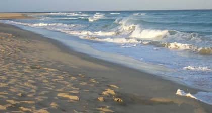 Ferienwohnungen Wiesenblick - Ferienwohnung DG1