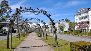 A pathway lined with trees and buildings, leading to a white building with balconies. - Fewo mit Balkon und Strandkorb am Strand (Baabe)