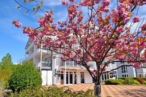 Ein Gebäude mit einem Schild, auf dem "Motel Express" steht, und ein Baum mit rosa Blüten im Vordergrund.
