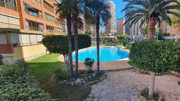 A swimming pool surrounded by palm trees and greenery, with a building in the background. - LAS ADELFAS (2 BEDROOM) (Benidorm)