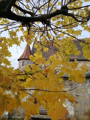 Unclassified image, 4 of 85, button