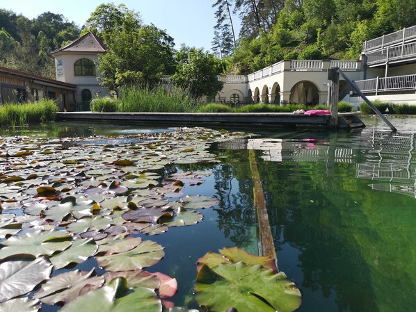 Property grounds - Apartment Schlossblick (Wiesenthau)