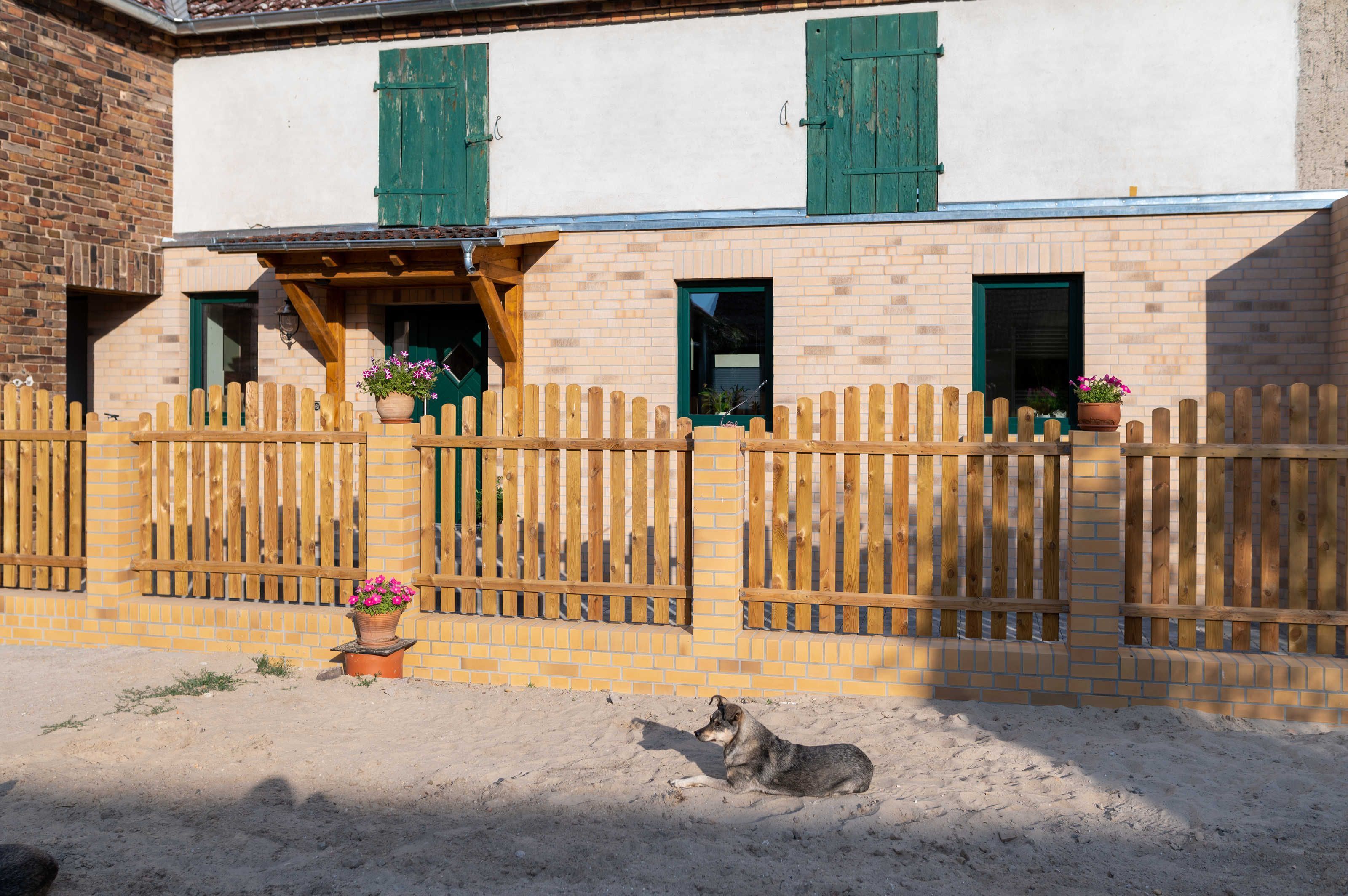 Un bâtiment entouré d’une clôture en bois, un chien allongé sur le sol et des plantes en pot.