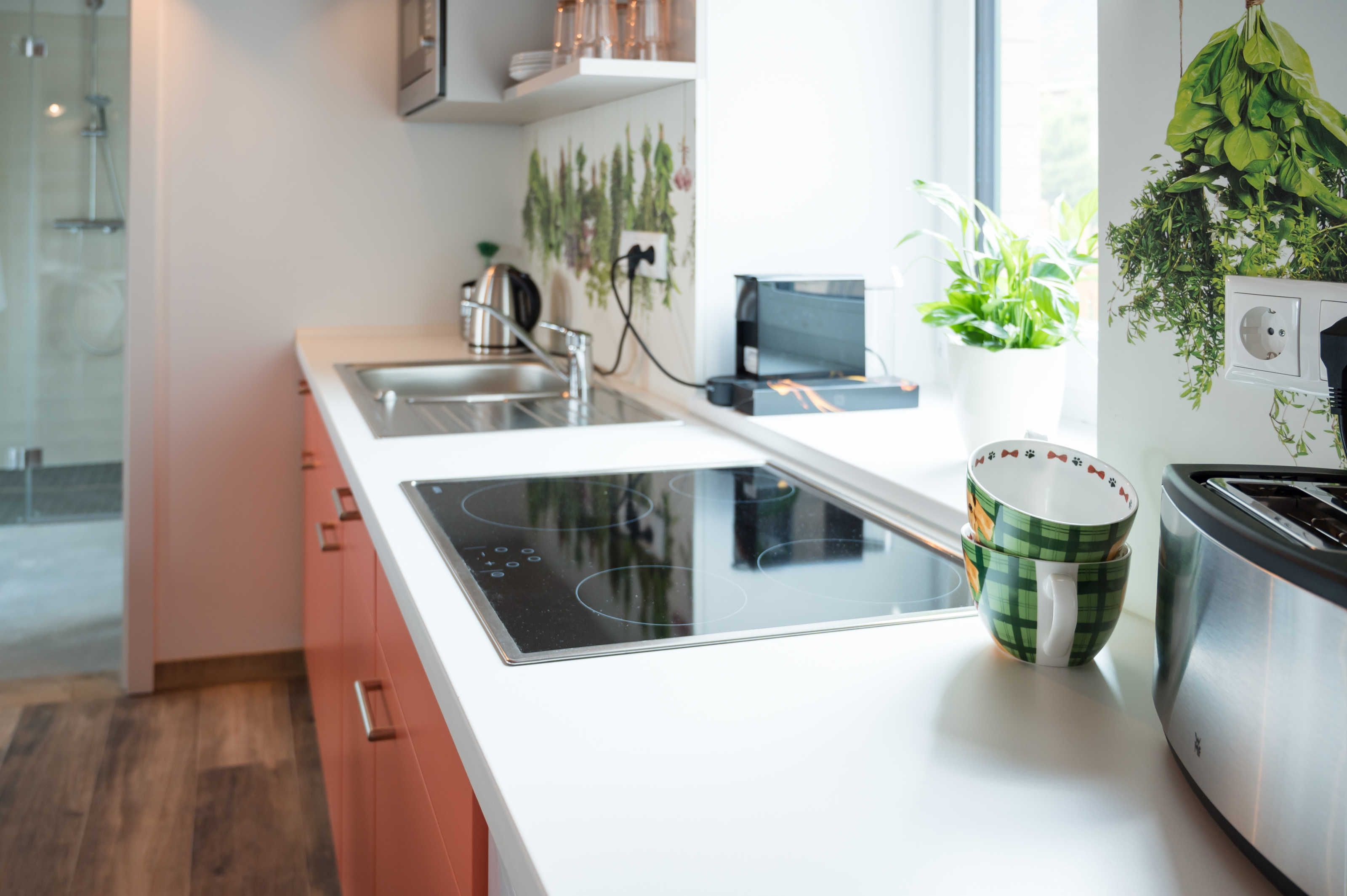 A modern kitchen with a built-in stove, a sink, and a window with plants.