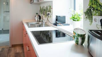 A modern kitchen with a built-in stove, a sink, and a window with plants.