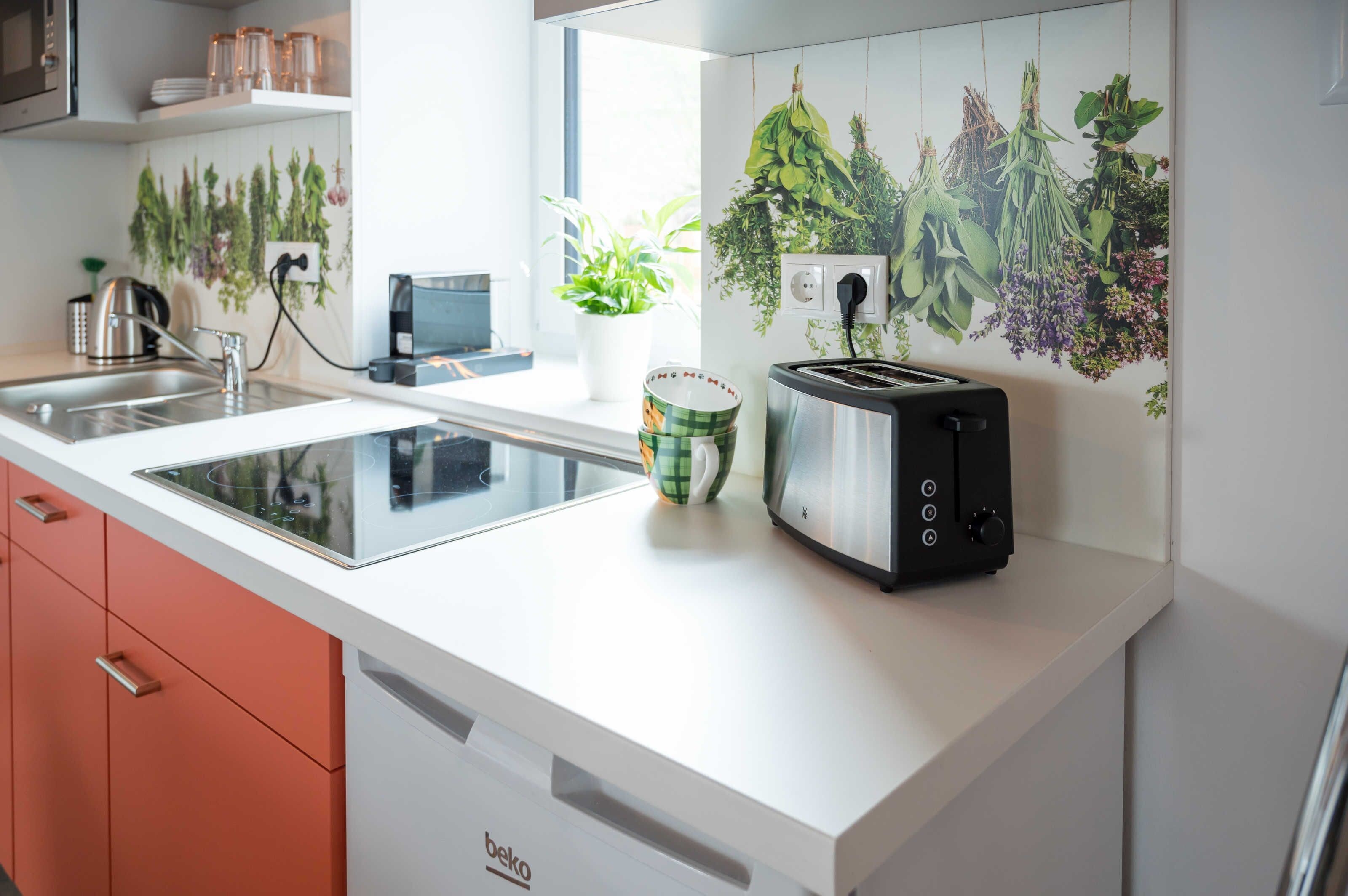 A modern kitchen with a built-in induction cooktop, a toaster, a kettle, and a potted plant.