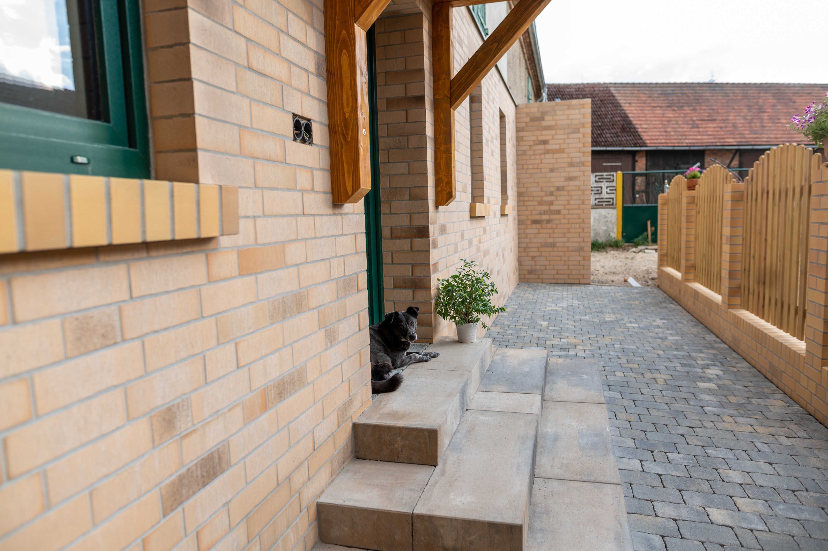 A brick building with a dog resting on the steps, a potted plant, and a wooden fence.