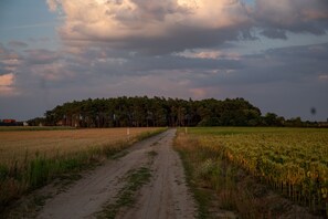 Botón de imagen sin clasificar, 4 de 41