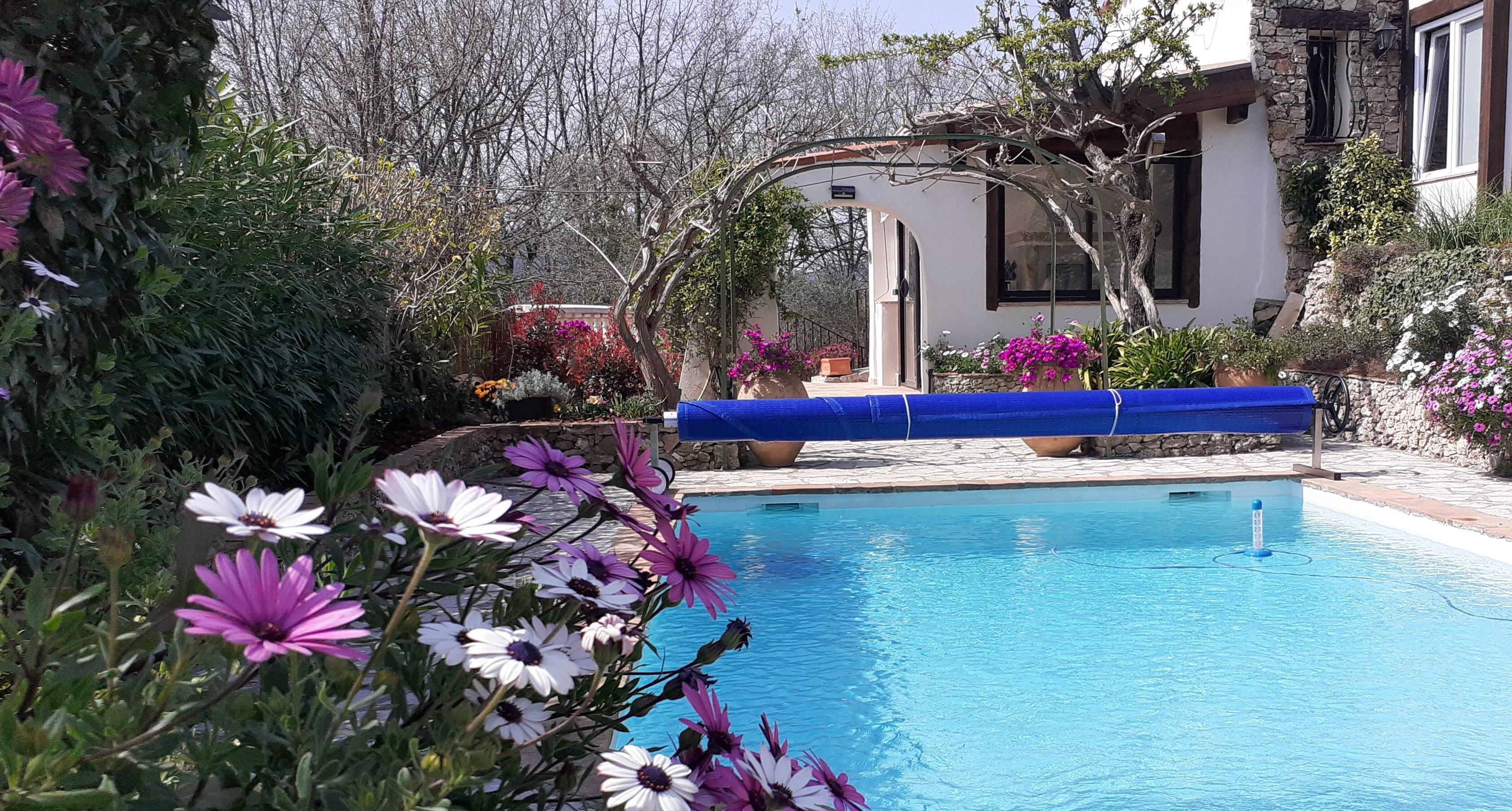 A pool area with a blue pool cover, surrounded by various plants and flowers.