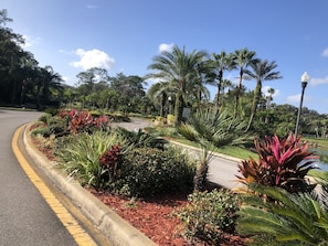 Front entrance Saddlebrook Resort, Golf and tennis country club.  - A little Piece of Paradise - newly renovated condo (Wesley Chapel)
