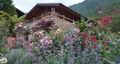 Woodden chalet panoramico