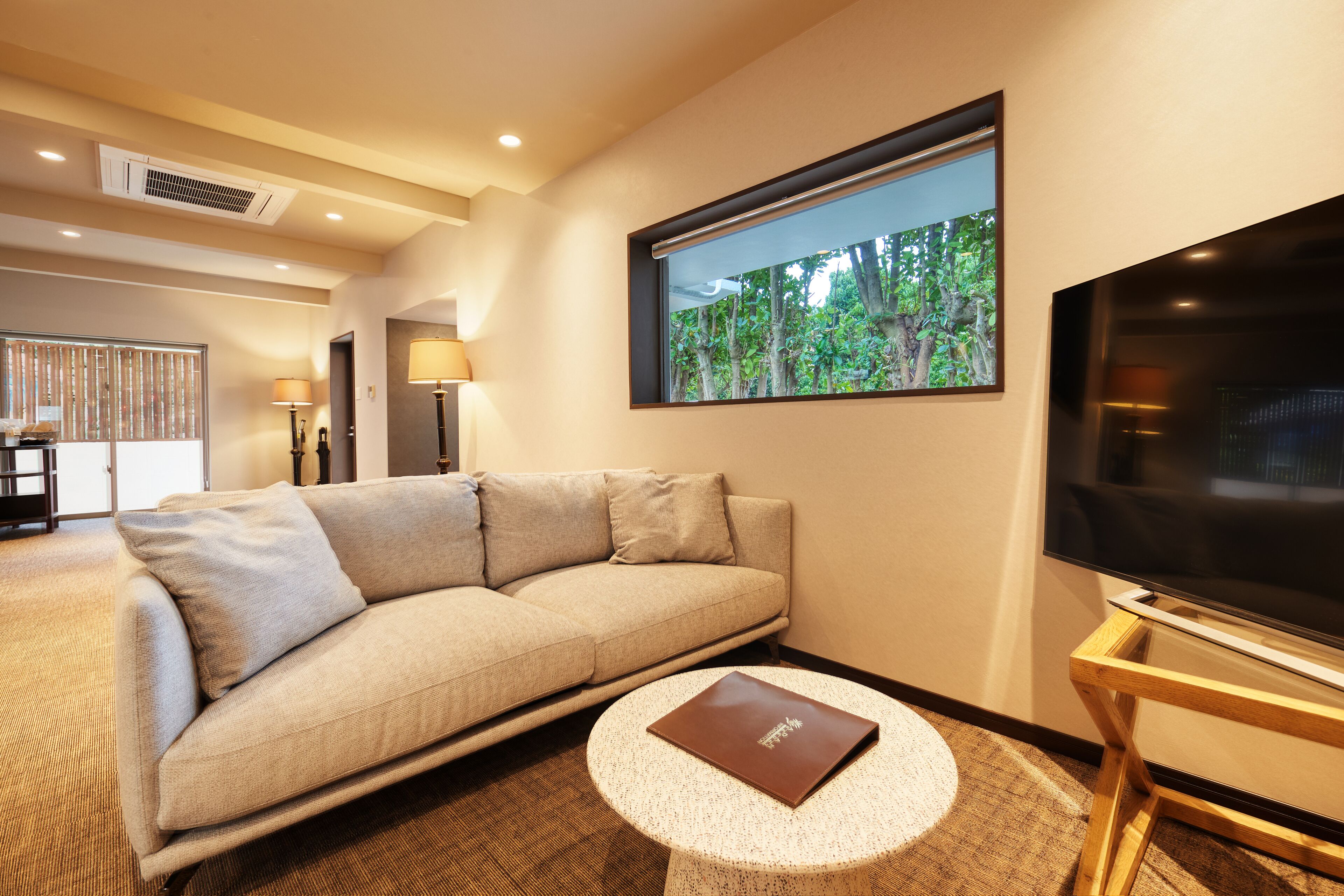 Deluxe Villa | Living room