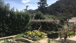 Un jardin avec un chemin de pierres, des fleurs jaunes et une structure en bois.