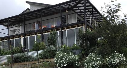 Art House.Paintings in hallway, bathroom, toilet, living areas and bedrooms.