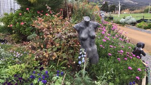 Un jardín con diversas plantas y flores, entre ellas ejemplares de tonos rosados y morados, y una escultura negra de una figura.
