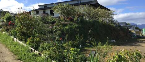 Ein modernes Haus mit Satteldach, umgeben von einem Garten mit verschiedenen Pflanzen und Blumen.
