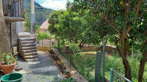 Terrain de l’hébergement 