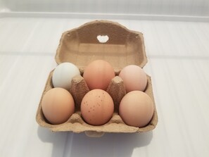 A carton of eggs with a heart-shaped cutout on the lid. - Breezy Acres Farm Apt 1- large yard, fire pit, game room near Cooperstown (Cooperstown)